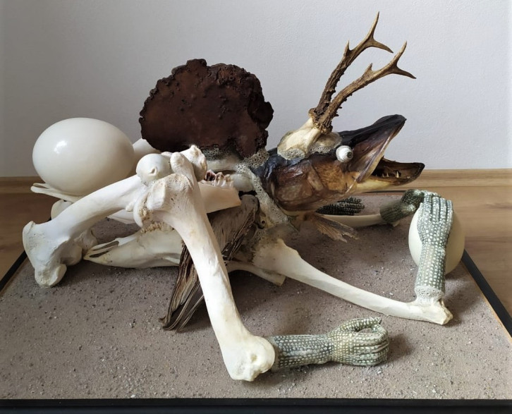 Jan Svankmajer