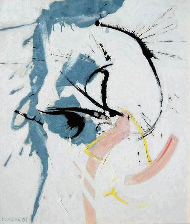 Vladimír Vašíček