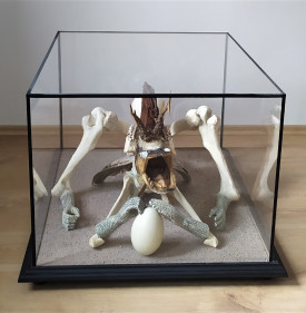 4 Švankmajer Jan