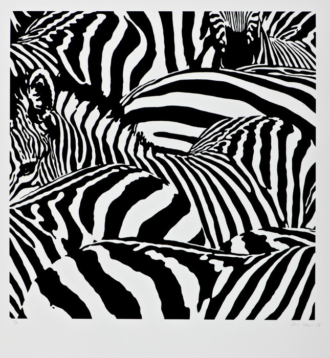 Hayek P. - Zebry, 2009, 83x70cm, serigrafie-0