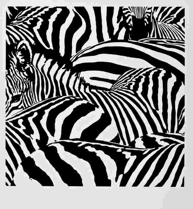 Hayek P. - Zebry, 2009, 83x70cm, serigrafie-0