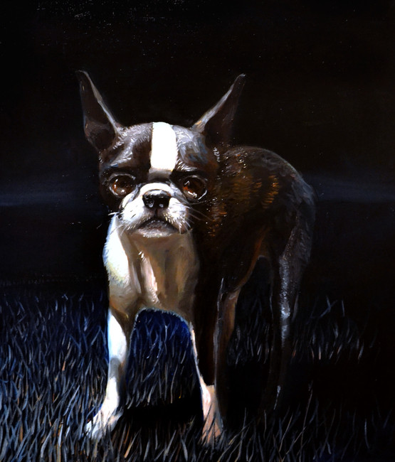 Sedlo K. - Nepojmenovatelné, 2020, 80x70cm, olej na plátně