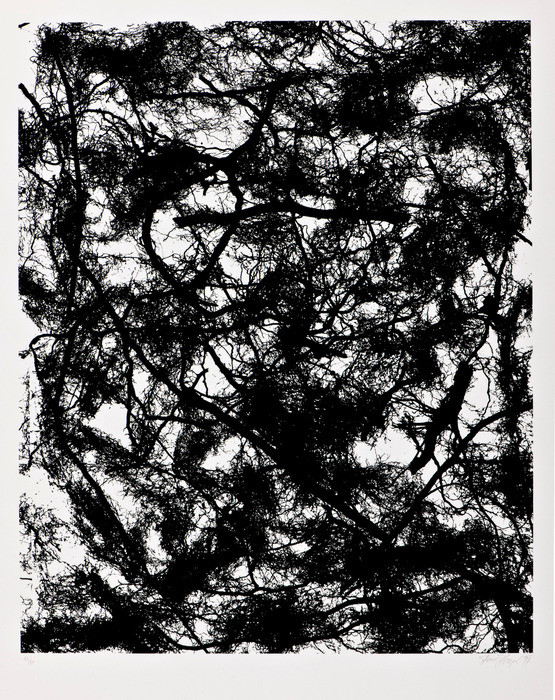 Hayek P. - Kořeny, 1997, 67x53,5cm, serigrafie-1
