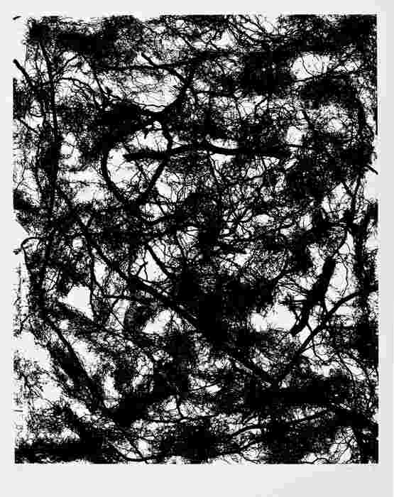 Hayek P. - Kořeny, 1997, 67x53,5cm, serigrafie-1