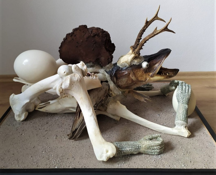 1 Švankmajer J. - Rukodělná štika, 2022, 44x60x74cm, asambláž