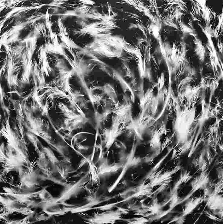 Hayek P. - Kopr, 2022, 30x30, sprayogram