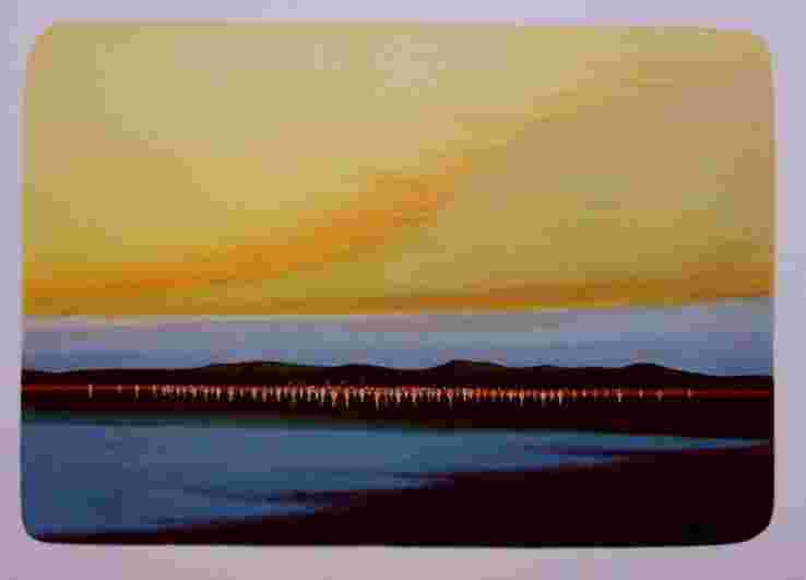Valečka J. - Jezero, 2009, 42x57cm, litografie