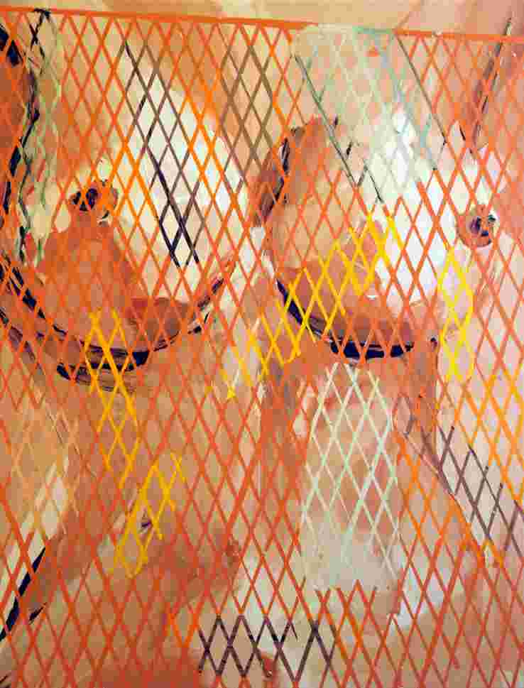 Paučo S. - F 156., 2021, 130x 100cm, kombinovaná technika na plátně